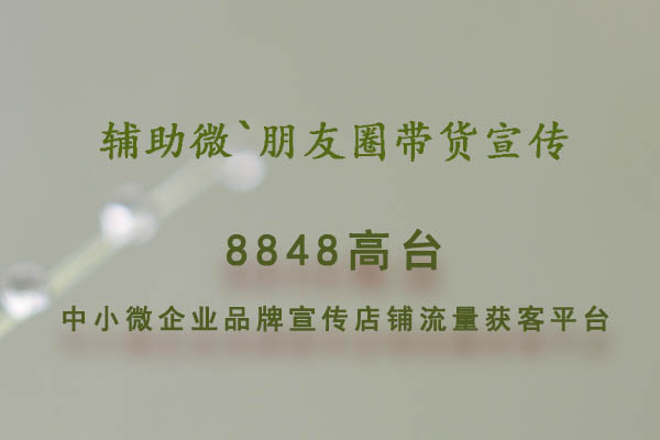 大数据个体商户店铺运营技巧怎么做才能更好店铺经营推广公司互联网推广品牌宣传